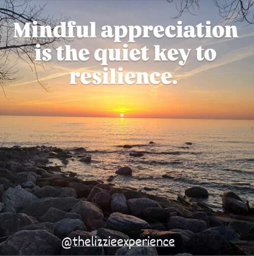 The Quiet Power of Mindful Appreciation