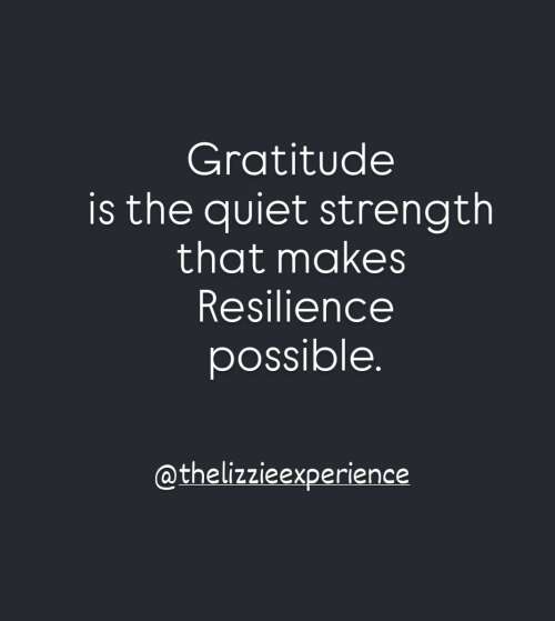 Gratitude, Resilience, and the Spirit of Thanksgiving
