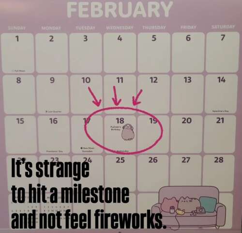 It's Strange to Hit a Milestone and Not Feel Fireworks